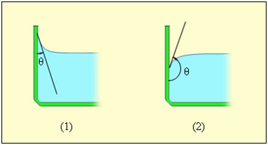 ris26