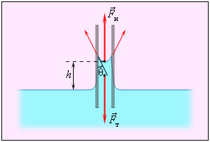 ris27